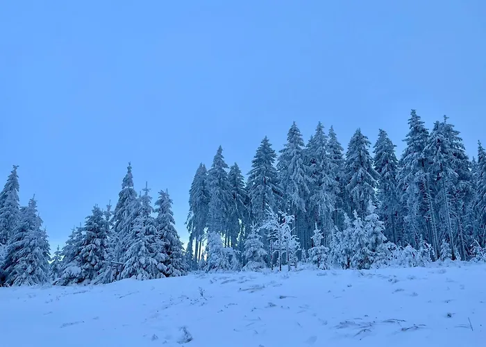 Daire Petra-2 By Interhome Frankenhain